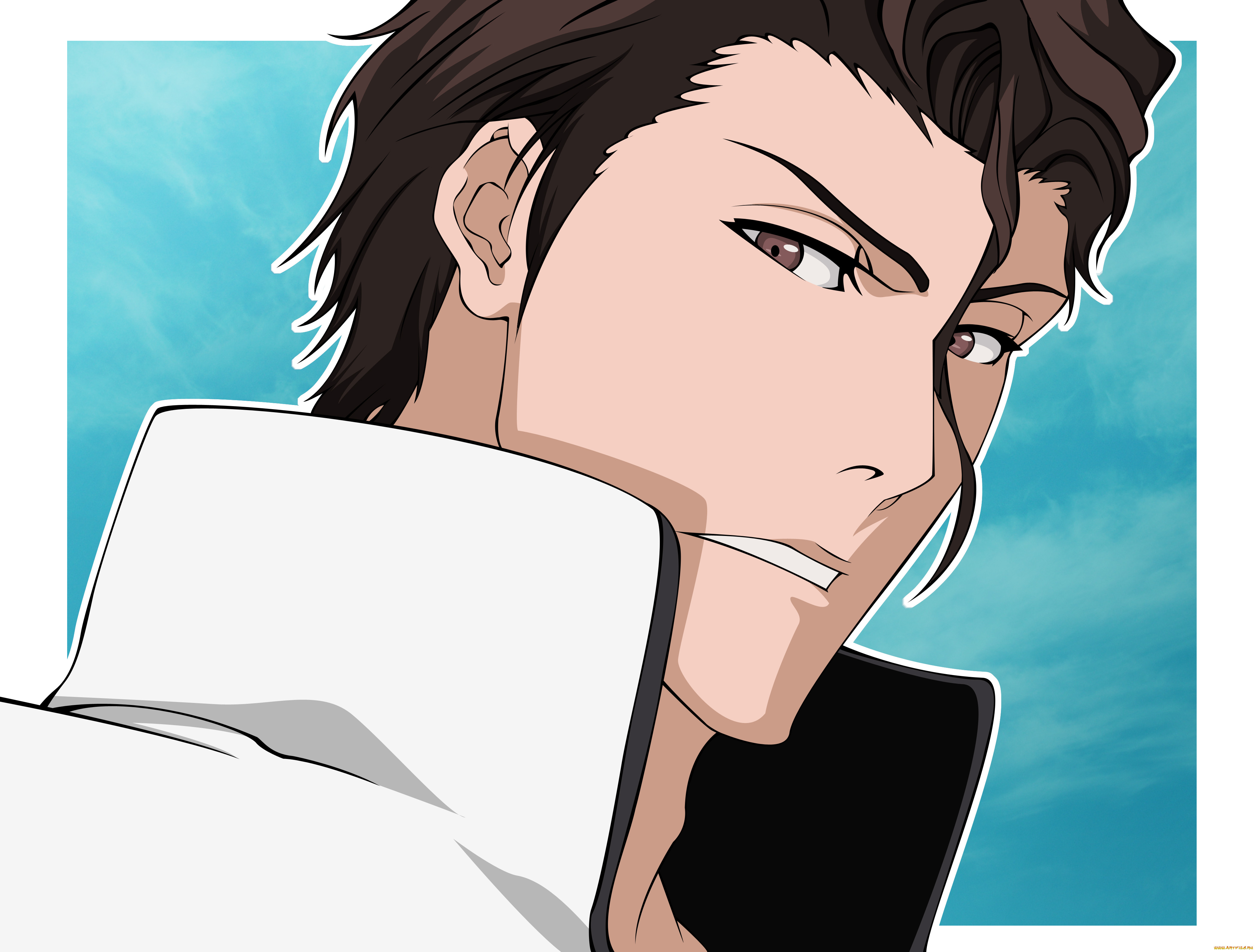 , bleach, aizen, sousuke